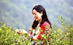 床戏cut哔哩哔哩bilibili